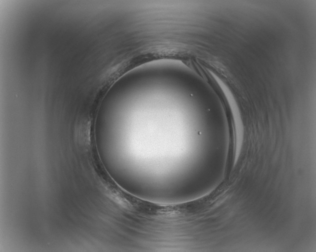 X0000056380454200509021845