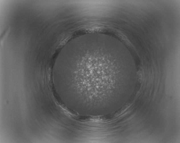 X0000056380458200509021845
