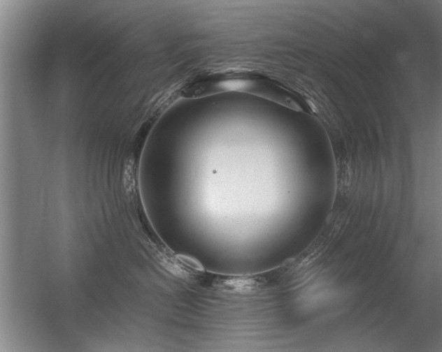 X0000056380478200509021846