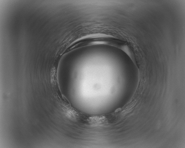 X0000056380480200509021846