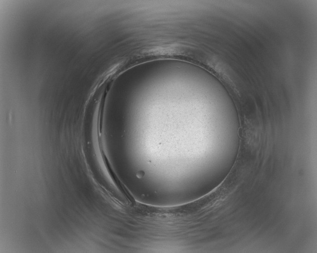 X0000056380486200509021845