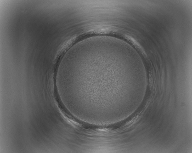X0000056380493200509021845