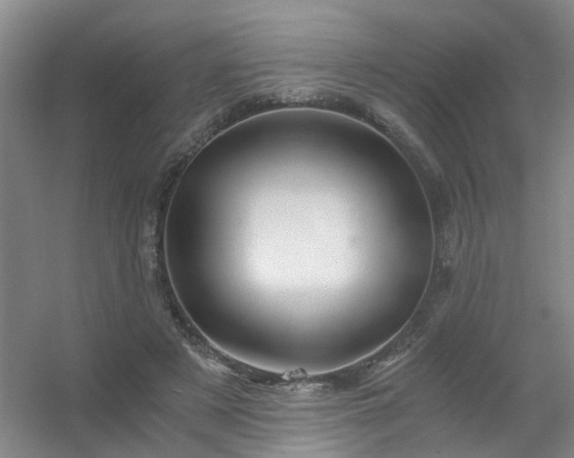 X0000056380497200509021845