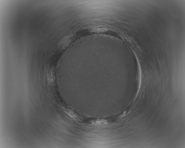 X0000056380517200509021844