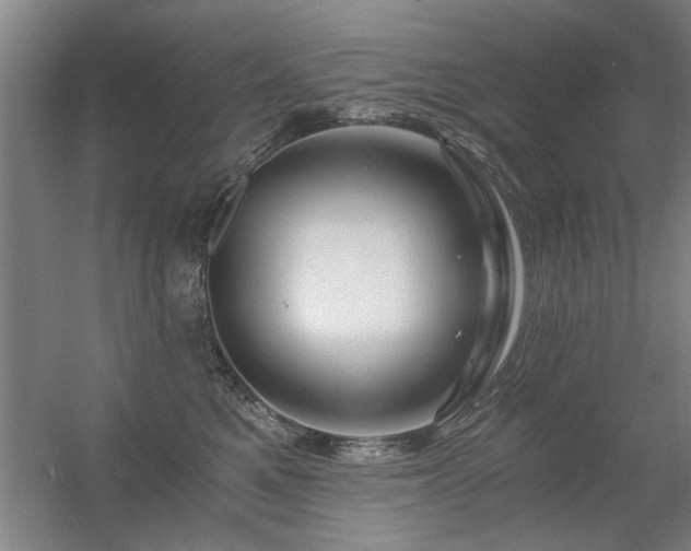 X0000056380521200509021844