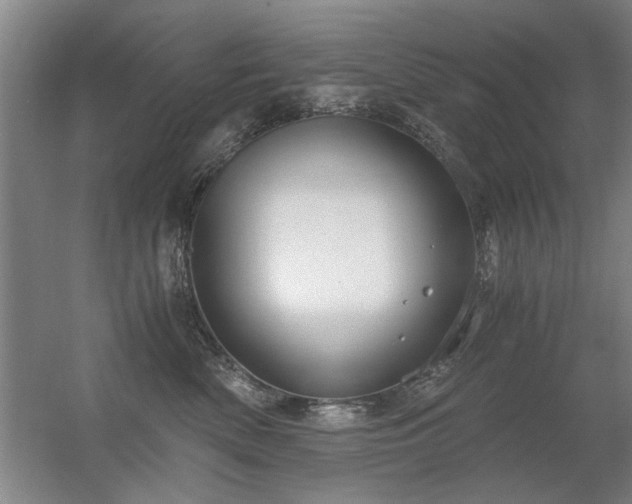 X0000056380522200509021844