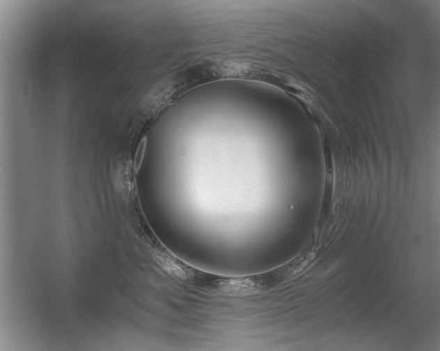 X0000056380525200509021844