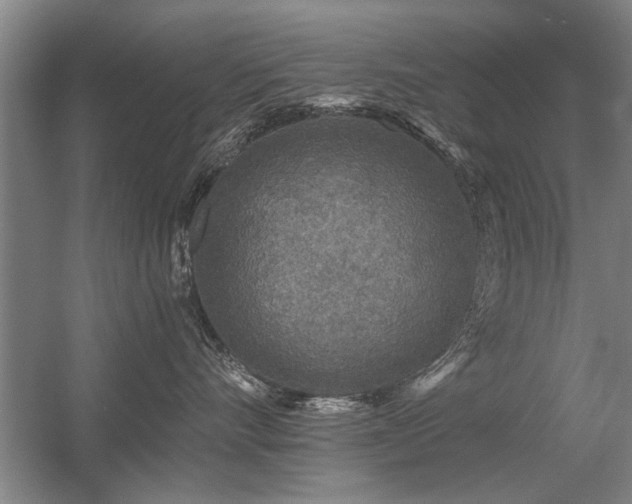 X0000056380528200509021844