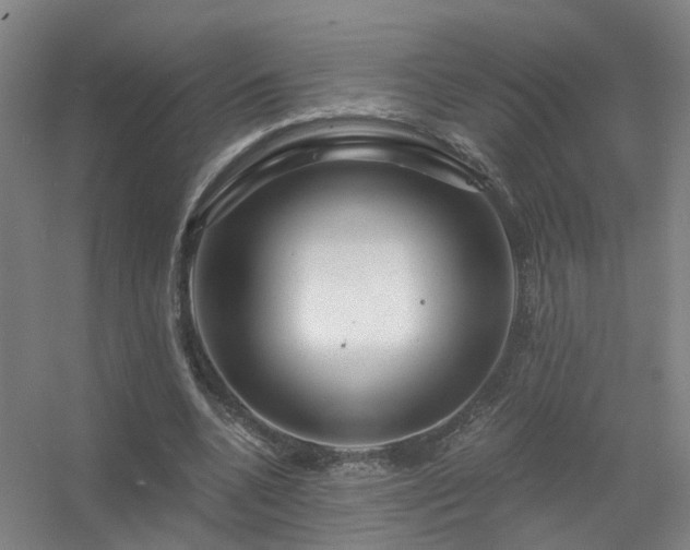 X0000056380536200509021844