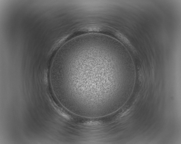 X0000056380537200509021844
