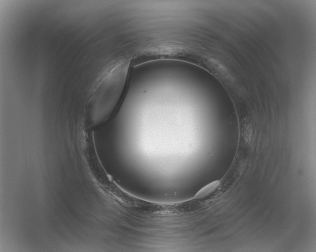 X0000056380544200509021844