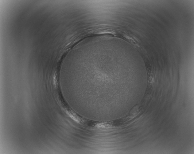 X0000056380568200509021844