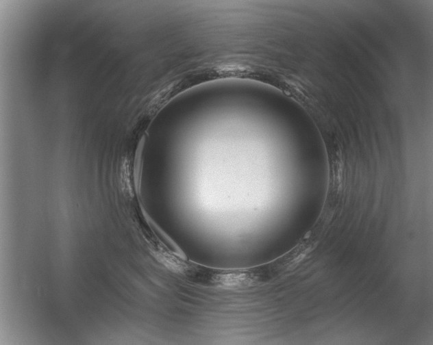 X0000056380575200509021844