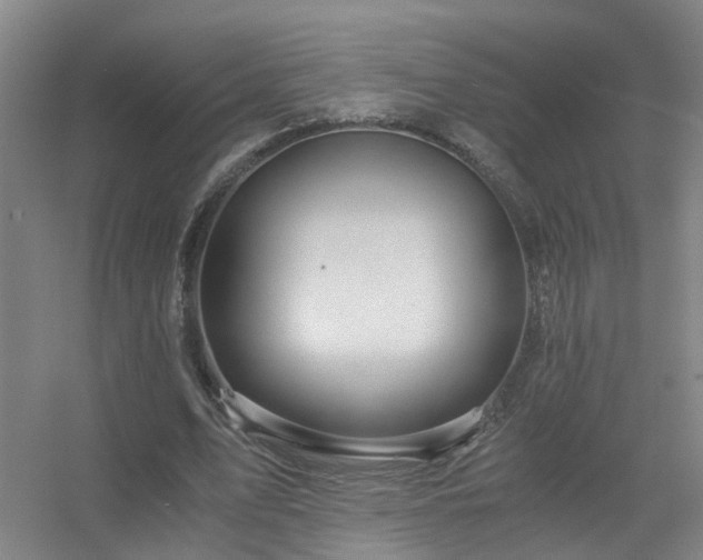 X0000056380583200509021843