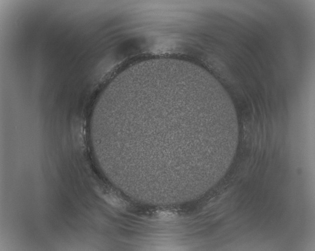 X0000056380592200509021843