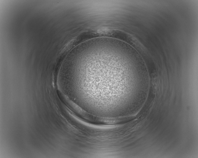 X0000056380593200509021843