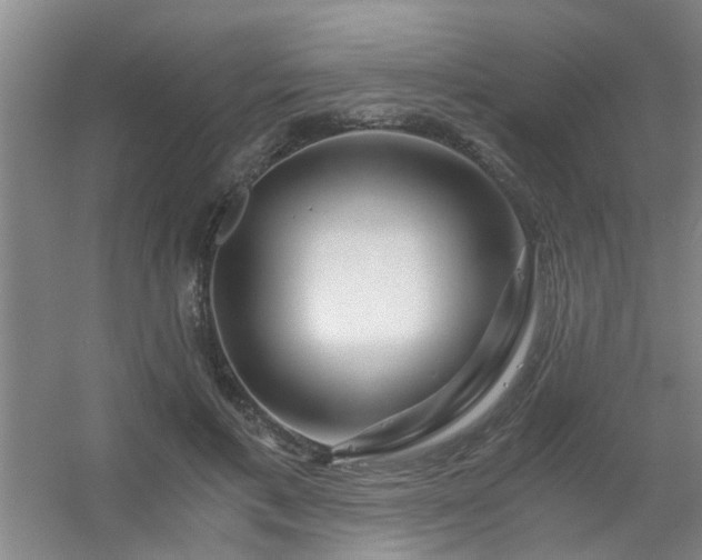 X0000056380597200509021843