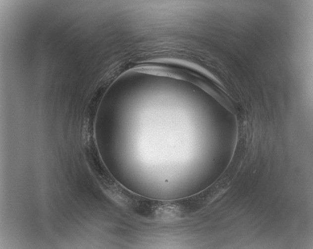 X0000056380599200509021843