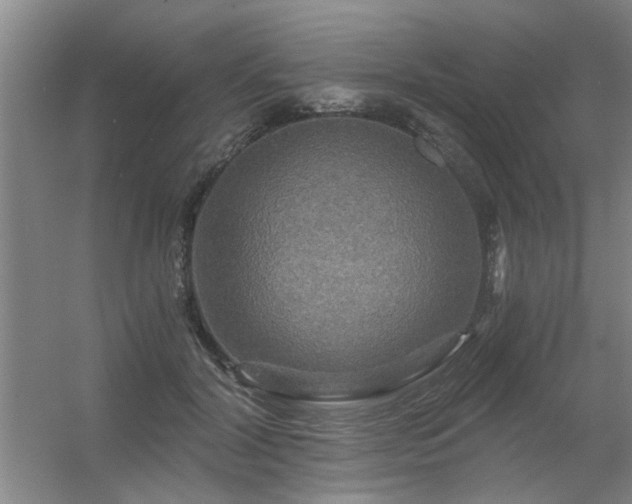X0000056380604200509021843