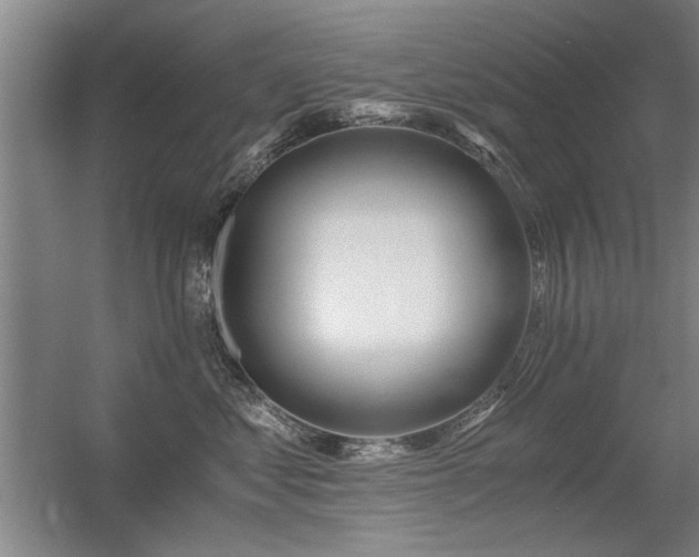 X0000056380621200509021843