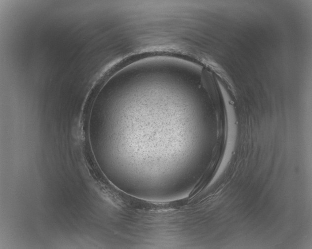 X0000056380628200509021842