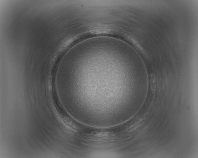X0000056380631200509021842
