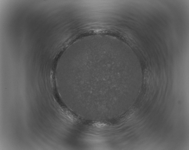 X0000056380650200509021842