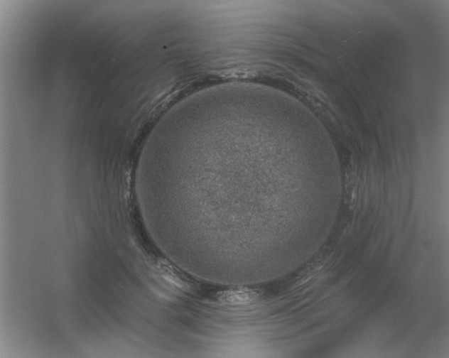 X0000056380652200509021842