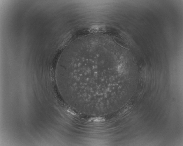 X0000056380659200509021842