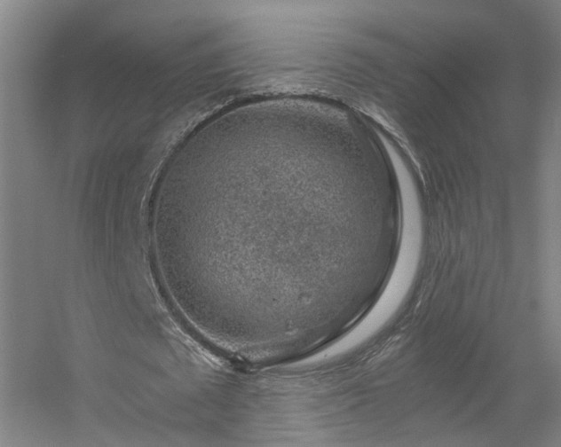 X0000056380673200509021842