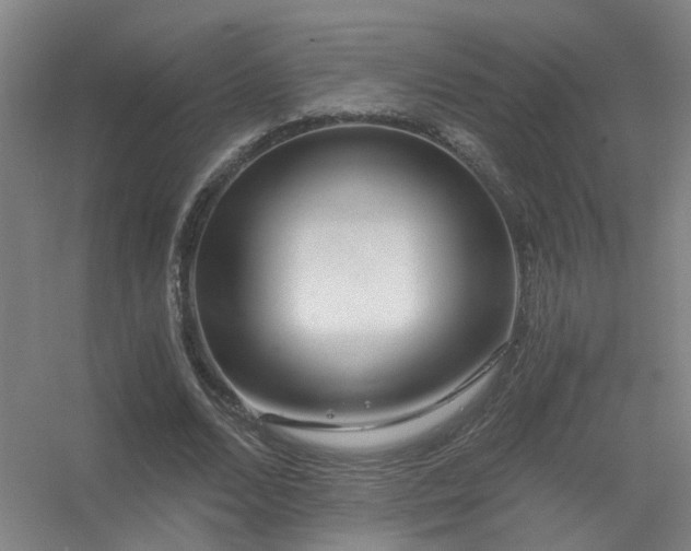 X0000056380680200509021842