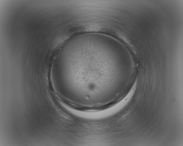 X0000056380681200509021842