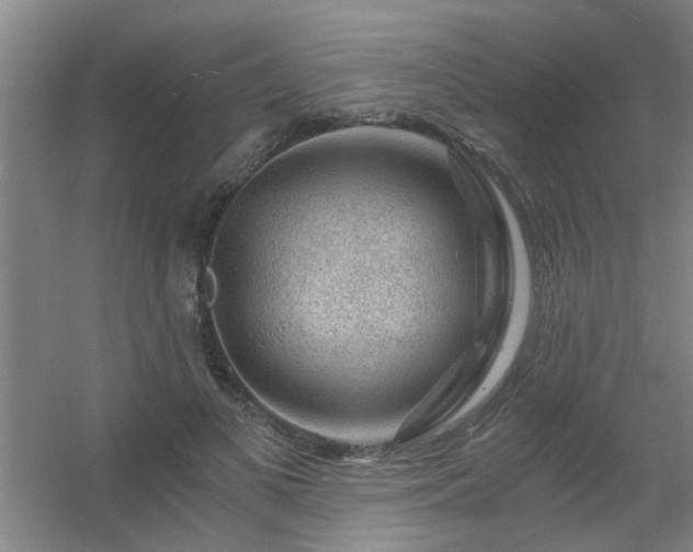 X0000056380693200509021841