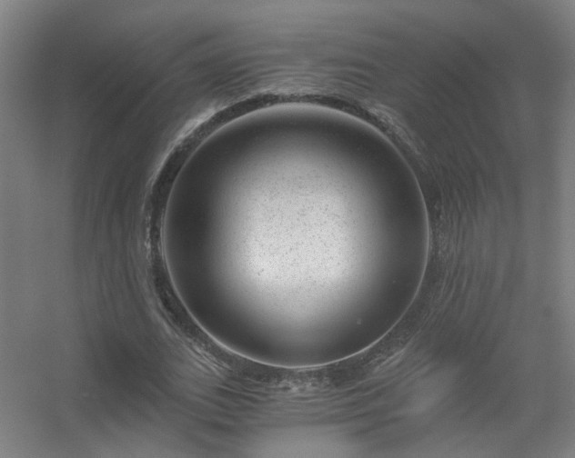 X0000056380727200509021840