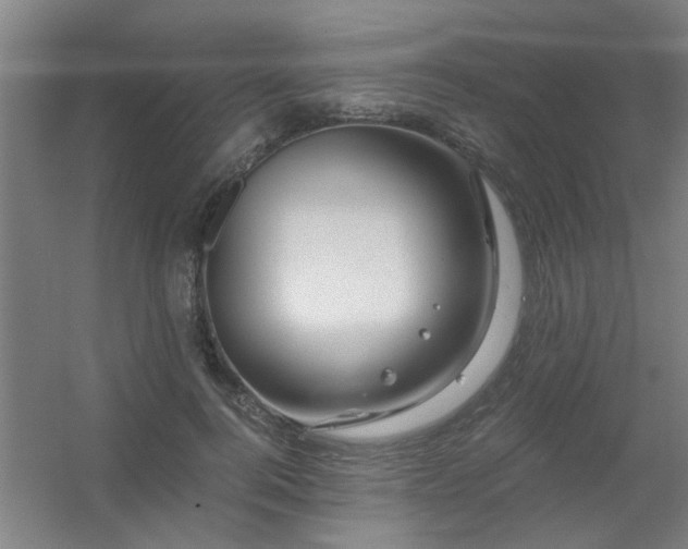 X0000056380744200509021841