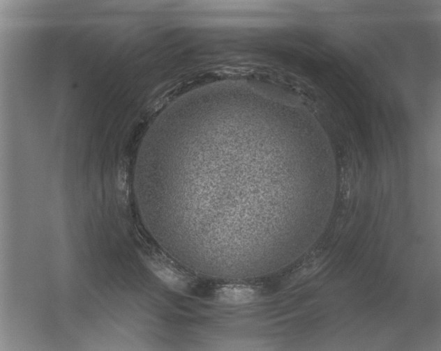 X0000056380749200509021841