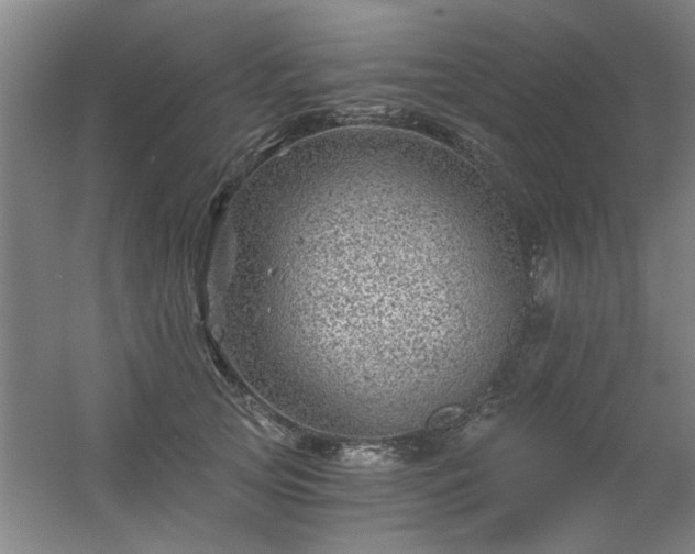 X0000056380753200509021841
