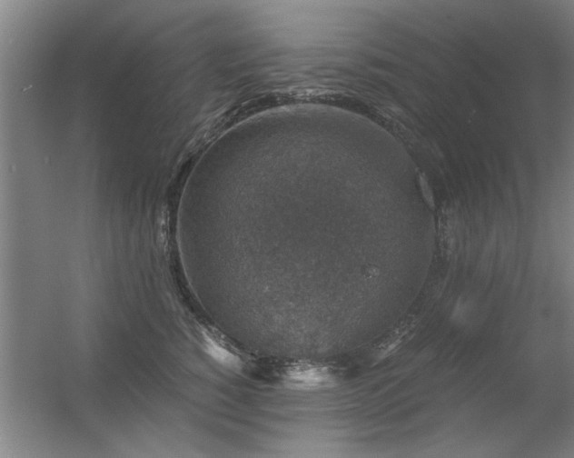 X0000056380760200509021841