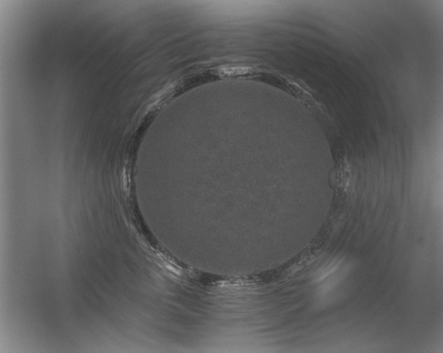 X0000056380763200509021841