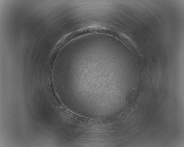 X0000056380776200509021840