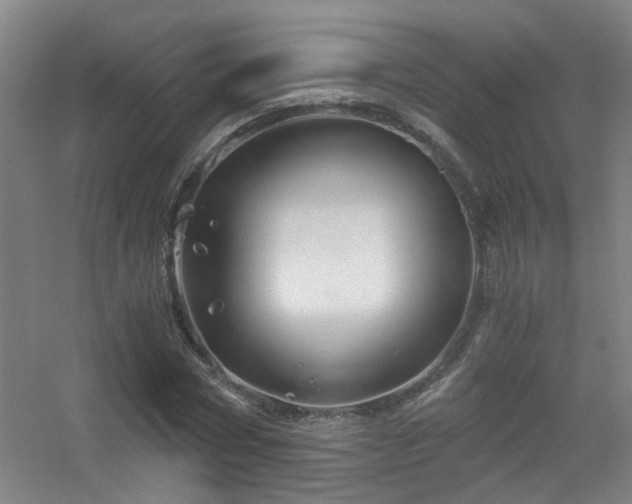 X0000056380778200509021840
