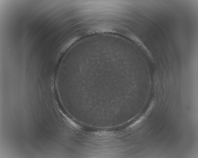 X0000056380785200509021840