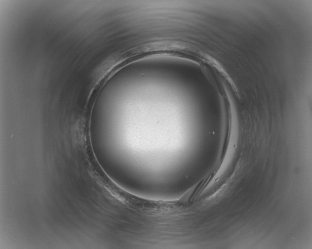 X0000056380786200509021840