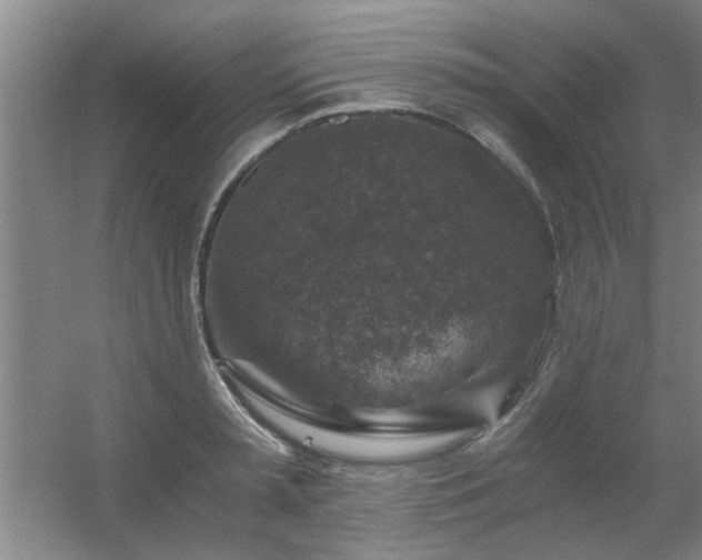 X0000056380797200509021840