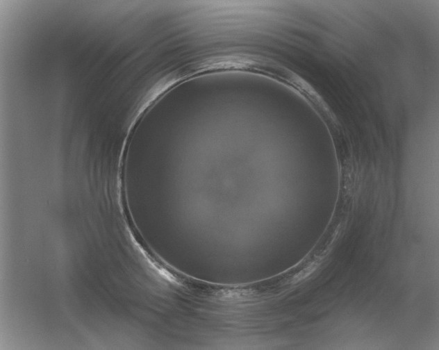 X0000056380802200509021840