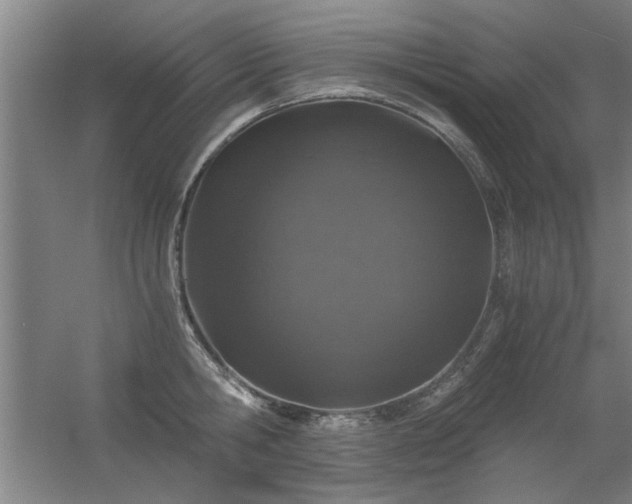 X0000056380806200509021839
