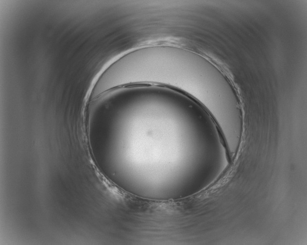X0000056380816200509021839