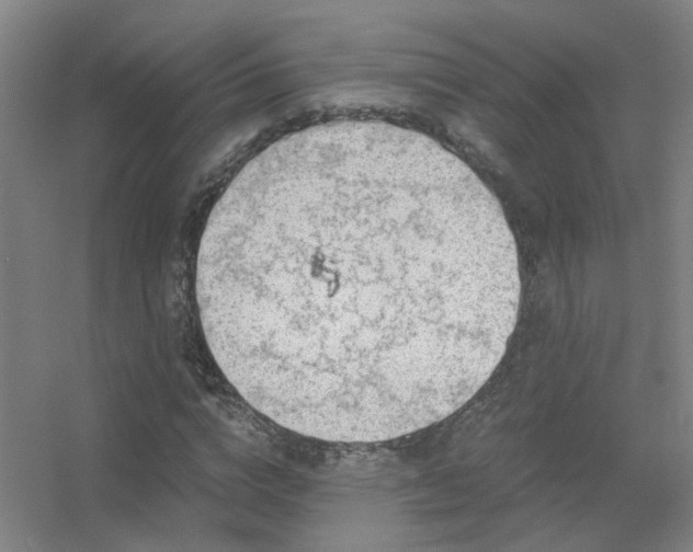 X0000056380824200509021839