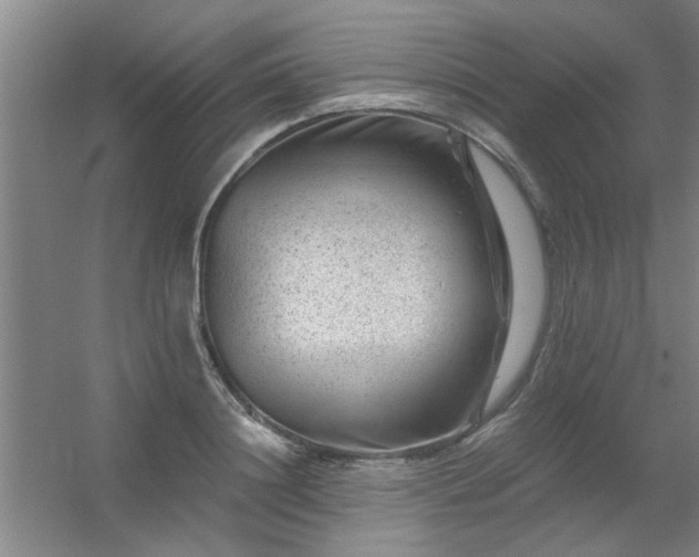 X0000056380844200509021839