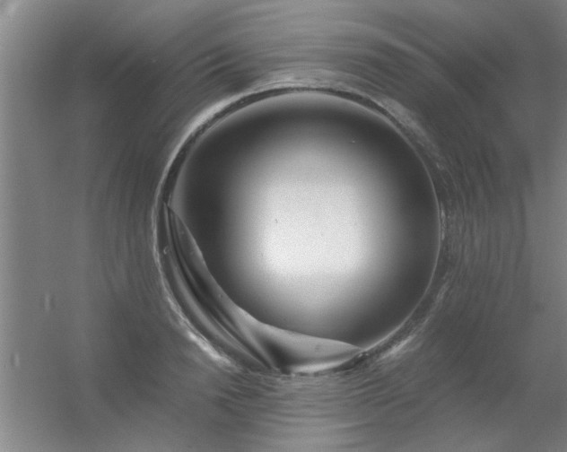 X0000056380846200509021839
